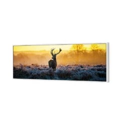 Red Deer At Dawn Canvas Art -WALL ART DESGIN SALE 852AL H Red Deer at Dawn 3D THUMB FF WHT 9f1bf37a bf21 456b 850b 573b3cbfed99