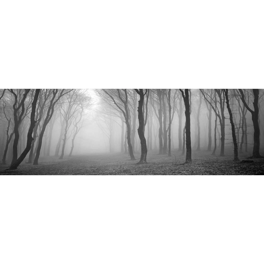 Mysterious Trees, Black and White (long) Mysterious Trees, Black And White (long) -WALL ART DESGIN SALE 892AL Mysterious Trees BW THUMB 1 12bcf94d c319 4d72 93e0 928ba3c8a186