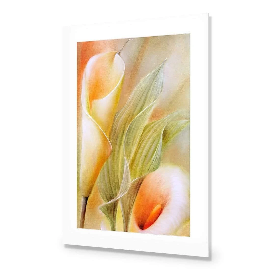 Calla by Annette Schmucker Calla By Annette Schmucker -WALL ART DESGIN SALE AS29AR V Calla by Annette Schmucker ACR MAT THUMB 1e27653f 03bf 4819 8a1b f9c0c69066ea