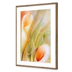 Calla By Annette Schmucker -WALL ART DESGIN SALE AS29AR V Calla by Annette Schmucker ACR MAT THUMB FF NAT