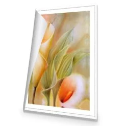 Calla By Annette Schmucker -WALL ART DESGIN SALE AS29AR V Calla by Annette Schmucker ROL THUMB 0f15b519 cdaa 44db ae6e 1e3a6d1ba47d