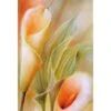 Calla By Annette Schmucker -WALL ART DESGIN SALE AS29AR V Calla by Annette Schmucker THUMB 5265fc26 9c68 4023 9aa1 59f387de4cd1