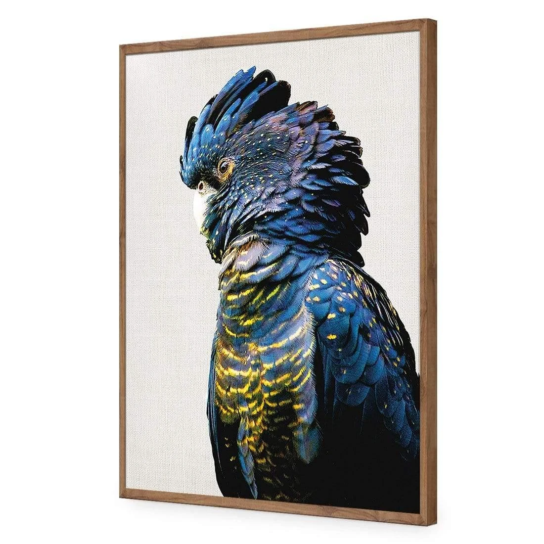 Lady Black Cocky Lady Black Cocky -WALL ART DESGIN SALE AU1043AR V LadyBlackCocky ACR EDG THUMB FF NAT