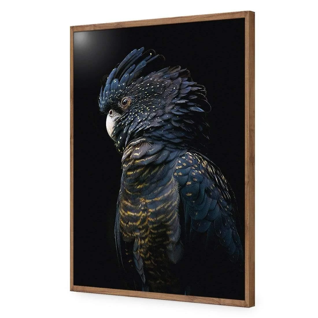 Lady Black Cocky, Dark Lady Black Cocky, Dark -WALL ART DESGIN SALE AU1043CR H Lady Black Cocky Dark ACR EDG THUMB FF NAT