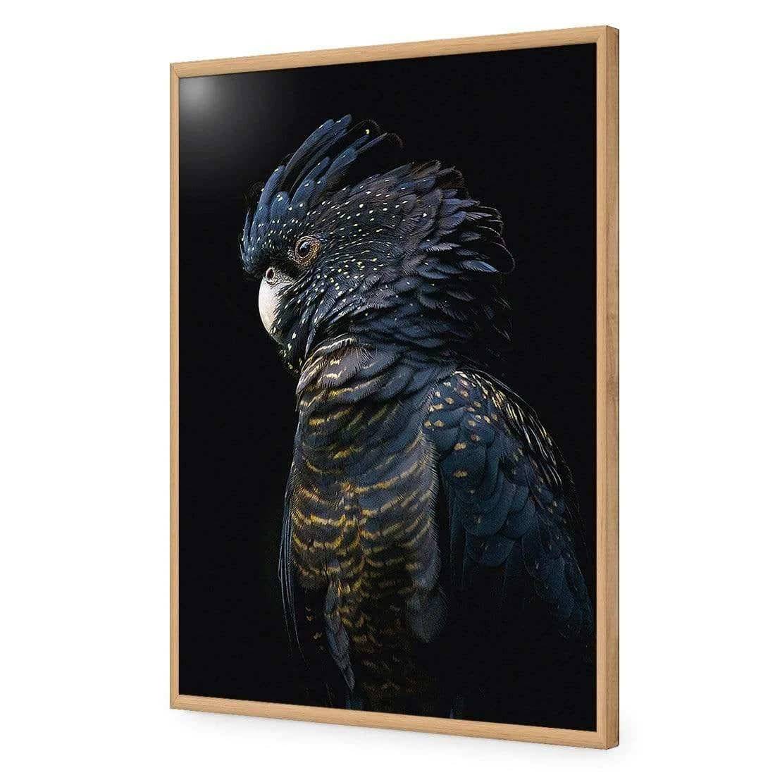 Lady Black Cocky, Dark Lady Black Cocky, Dark -WALL ART DESGIN SALE AU1043CR H Lady Black Cocky Dark ACR EDG THUMB FF OAK