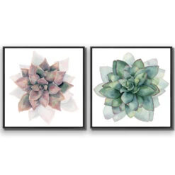 Succulent Rosette Perfect Pair -WALL ART DESGIN SALE SET2 5010 AS Q 3D CANVAS THUMB FF BLK