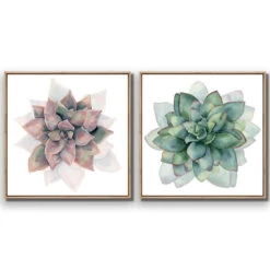Succulent Rosette Perfect Pair -WALL ART DESGIN SALE SET2 5010 AS Q 3D CANVAS THUMB FF OAK