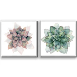 Succulent Rosette Perfect Pair -WALL ART DESGIN SALE SET2 5010 AS Q 3D CANVAS THUMB FF WHT
