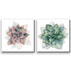 Succulent Rosette Perfect Pair -WALL ART DESGIN SALE SET2 5010 AS Q ACR EDG THUMB 94f9e8b5 edc2 4426 8d49 bc0c84dbe11f
