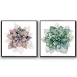 Succulent Rosette Perfect Pair -WALL ART DESGIN SALE SET2 5010 AS Q ACR EDG THUMB FF BLK