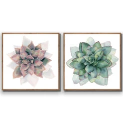 Succulent Rosette Perfect Pair -WALL ART DESGIN SALE SET2 5010 AS Q ACR EDG THUMB FF NAT
