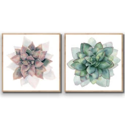 Succulent Rosette Perfect Pair -WALL ART DESGIN SALE SET2 5010 AS Q ACR EDG THUMB FF OAK