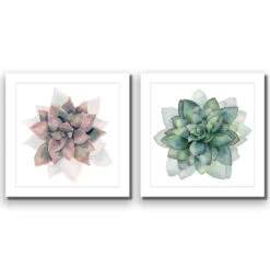 Succulent Rosette Perfect Pair -WALL ART DESGIN SALE SET2 5010 AS Q ACR MAT THUMB 9c9603ec 5a94 441c 9d8d 9635ddcbad61