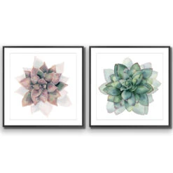 Succulent Rosette Perfect Pair -WALL ART DESGIN SALE SET2 5010 AS Q ACR MAT THUMB FF BLK