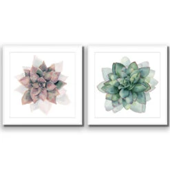 Succulent Rosette Perfect Pair -WALL ART DESGIN SALE SET2 5010 AS Q ACR MAT THUMB FF WHT