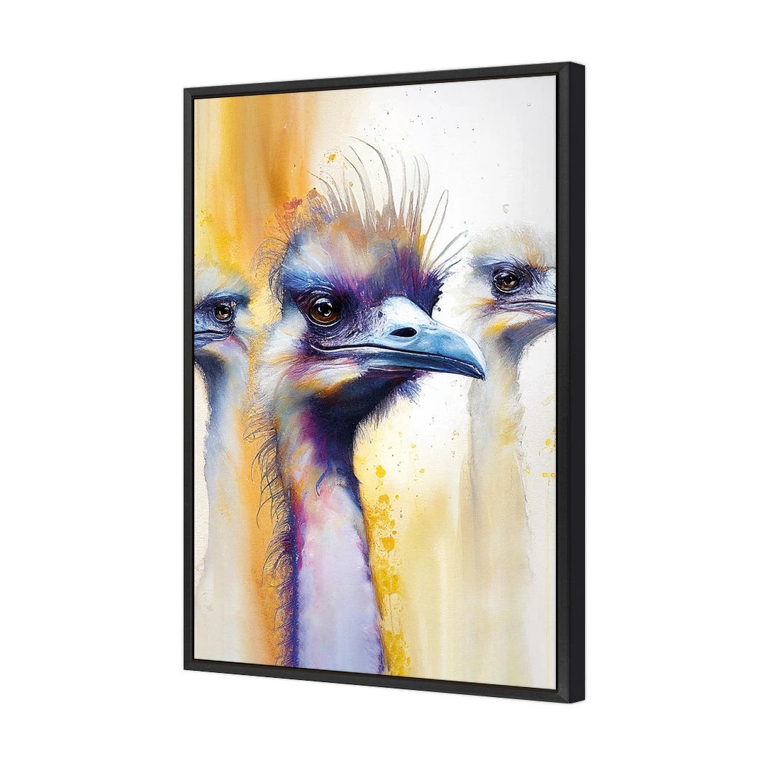 Scheming Emus Scheming Emus -WALL ART DESGIN SALE WB 100711 AR V 3D CANVAS THUMB FF BLK