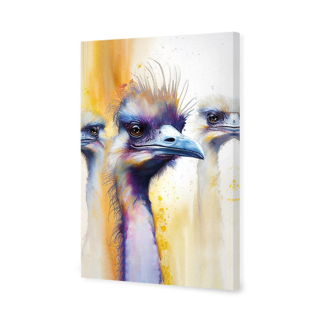 Scheming Emus Scheming Emus -WALL ART DESGIN SALE WB 100711 AR V 3D CANVAS THUMB db598990 2762 4150 9aaf 57e5a9f13e23
