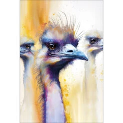 Scheming Emus
