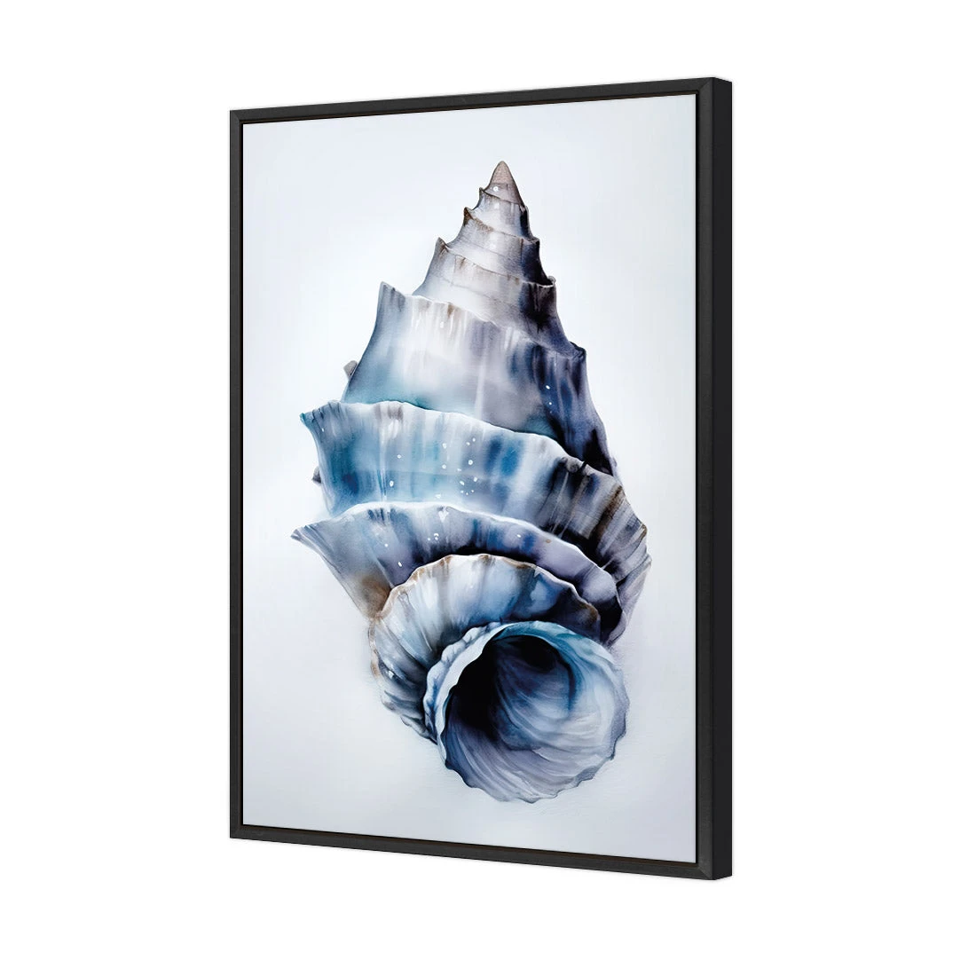 Watercolour Shell III Watercolour Shell III -WALL ART DESGIN SALE WH 1158 AR V Watercolour Shell III 3D CANVAS THUMB FF BLK