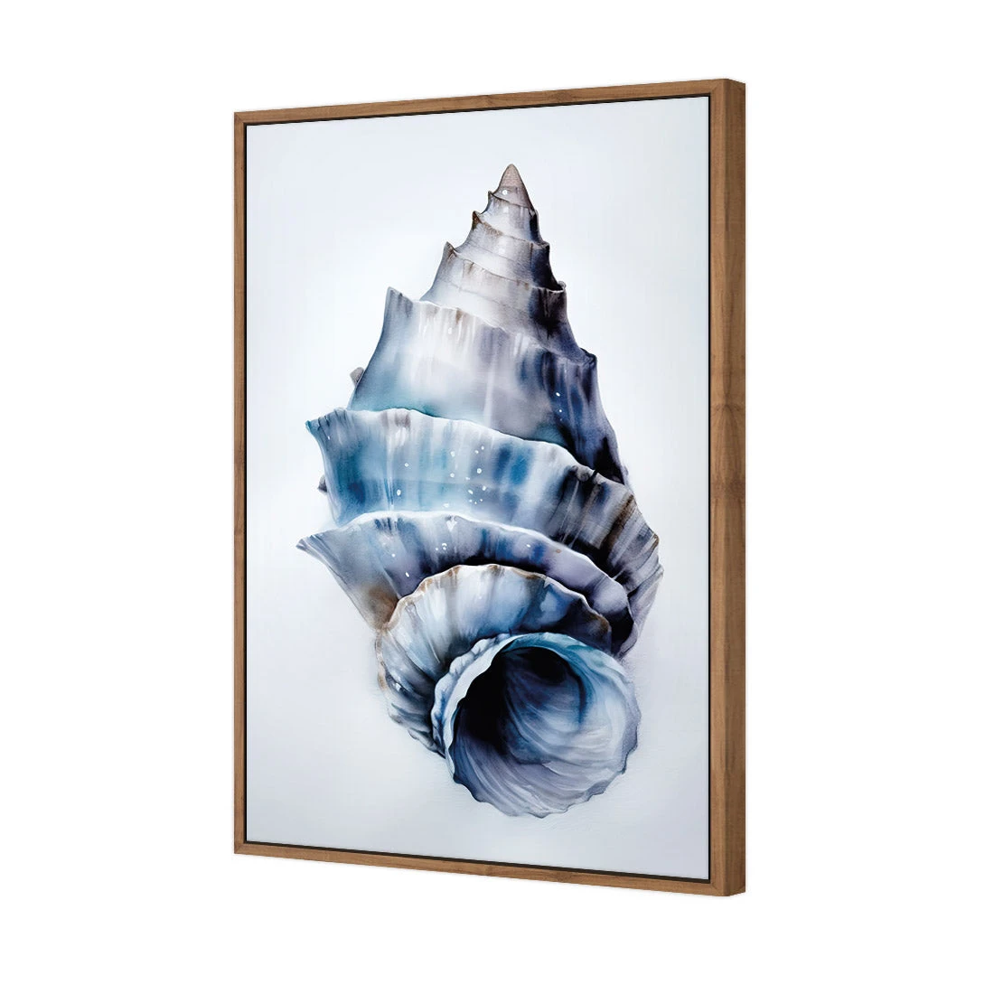 Watercolour Shell III Watercolour Shell III -WALL ART DESGIN SALE WH 1158 AR V Watercolour Shell III 3D CANVAS THUMB FF NAT