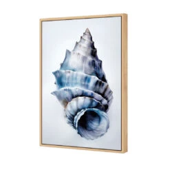 Watercolour Shell III -WALL ART DESGIN SALE WH 1158 AR V Watercolour Shell III 3D CANVAS THUMB FF OAK
