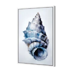 Watercolour Shell III -WALL ART DESGIN SALE WH 1158 AR V Watercolour Shell III 3D CANVAS THUMB FF WHT