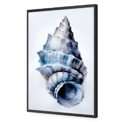 Watercolour Shell III -WALL ART DESGIN SALE WH 1158 AR V Watercolour Shell III ACR EDG THUMB FF BLK