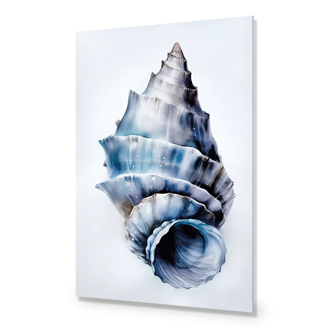 Watercolour Shell III Watercolour Shell III -WALL ART DESGIN SALE WH 1158 AR V Watercolour Shell III ACR EDG THUMB e2c8bac2 caae 4da3 84f0 7623f8c95de2