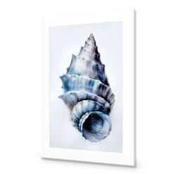 Watercolour Shell III -WALL ART DESGIN SALE WH 1158 AR V Watercolour Shell III ACR MAT THUMB 87311558 f910 4a64 ba47 dc8fb3bc59f1