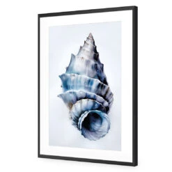 Watercolour Shell III -WALL ART DESGIN SALE WH 1158 AR V Watercolour Shell III ACR MAT THUMB FF BLK