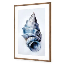 Watercolour Shell III -WALL ART DESGIN SALE WH 1158 AR V Watercolour Shell III ACR MAT THUMB FF NAT