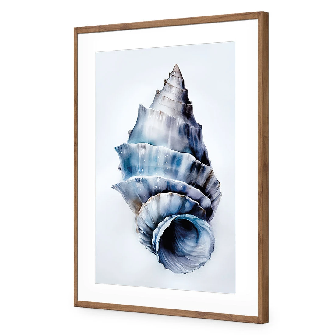 Watercolour Shell III Watercolour Shell III -WALL ART DESGIN SALE WH 1158 AR V Watercolour Shell III ACR MAT THUMB FF NAT