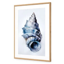Watercolour Shell III -WALL ART DESGIN SALE WH 1158 AR V Watercolour Shell III ACR MAT THUMB FF OAK