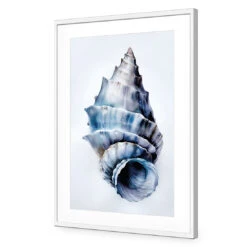 Watercolour Shell III -WALL ART DESGIN SALE WH 1158 AR V Watercolour Shell III ACR MAT THUMB FF WHT