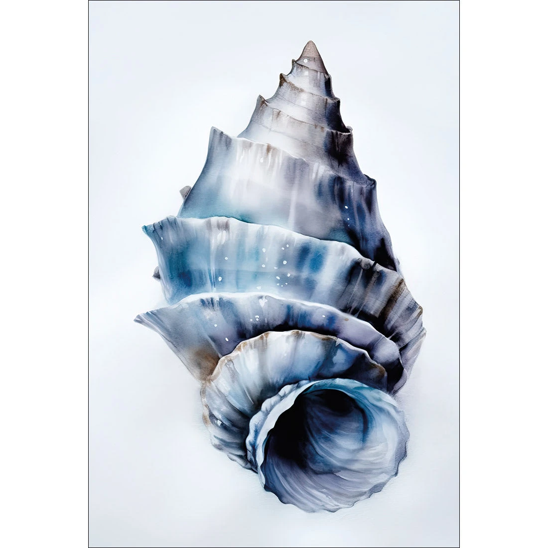 Watercolour Shell III Watercolour Shell III -WALL ART DESGIN SALE WH 1158 AR V Watercolour Shell III THUMB d147dc4c 6da7 458f a1d4 b9e823dbaa96