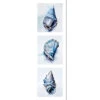 Watercolour Shell Montage -WALL ART DESGIN SALE WH 1190 AL V THUMB 24b98ccb 7f85 40ef 941f 4e65eb5167a8