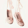 Ballet Shoes I