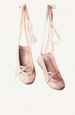 Ballet Shoes I