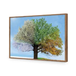 A Tree For All Seasons -WALL ART DESGIN SALE a tree for all seasons acrylic glass no border natural frame 45x30cm 548838