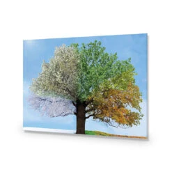 A Tree For All Seasons -WALL ART DESGIN SALE a tree for all seasons acrylic glass no border no frame 45x30cm 963490