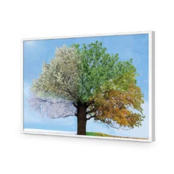 A Tree For All Seasons -WALL ART DESGIN SALE a tree for all seasons acrylic glass no border white frame 45x30cm 216323