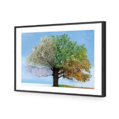 A Tree For All Seasons -WALL ART DESGIN SALE a tree for all seasons acrylic glass with border black frame 45x30cm 854735