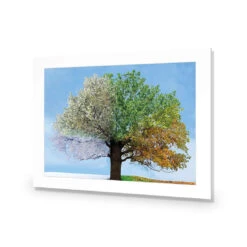 A Tree For All Seasons -WALL ART DESGIN SALE a tree for all seasons acrylic glass with border no frame 45x30cm 990255