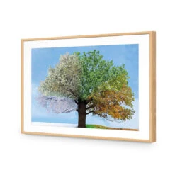 A Tree For All Seasons -WALL ART DESGIN SALE a tree for all seasons acrylic glass with border oak frame 45x30cm 974496
