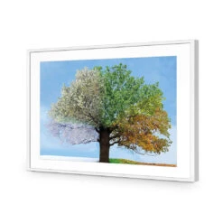 A Tree For All Seasons -WALL ART DESGIN SALE a tree for all seasons acrylic glass with border white frame 45x30cm 104379