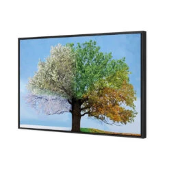 A Tree For All Seasons -WALL ART DESGIN SALE a tree for all seasons canvas black floating frame 45x30cm 307876