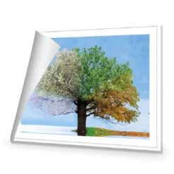 A Tree For All Seasons -WALL ART DESGIN SALE a tree for all seasons canvas rolled canvas 45x30cm 468102