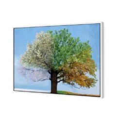 A Tree For All Seasons -WALL ART DESGIN SALE a tree for all seasons canvas white floating frame 45x30cm 961226