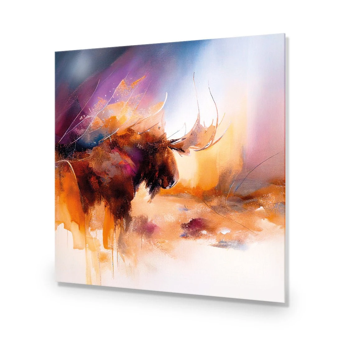 Abstract Moose I Abstract Moose I -WALL ART DESGIN SALE abstract moose i acrylic glass no border no frame 37x37cm 896315