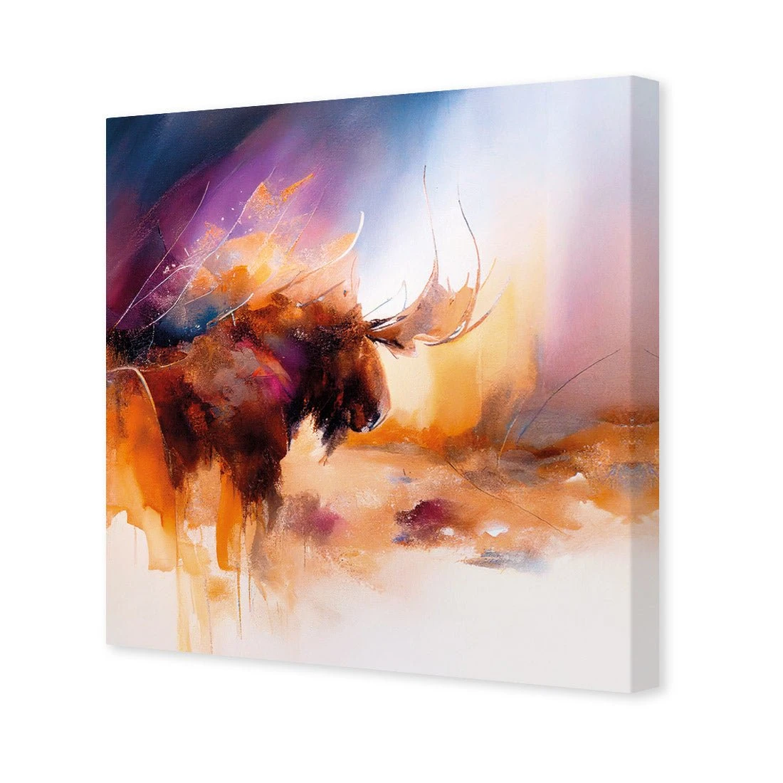 Abstract Moose I Abstract Moose I -WALL ART DESGIN SALE abstract moose i canvas stretched canvas 37x37cm 655279